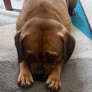 Meet your Posher, Jane